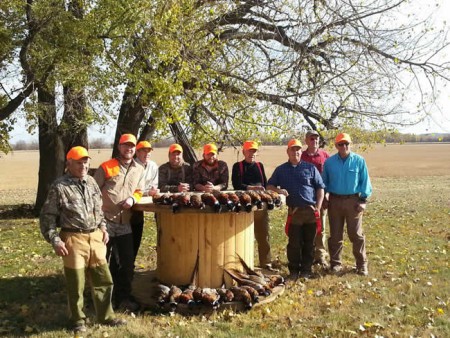 pheasant hunting