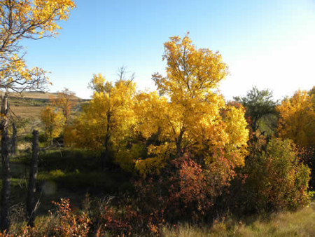 Fall in eastern Montana